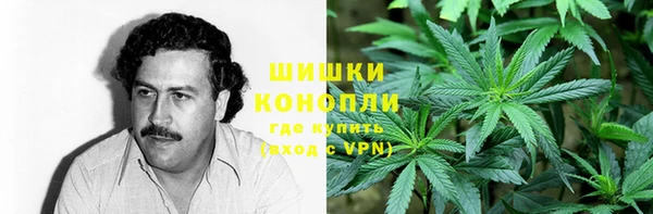 шишки Великий Новгород