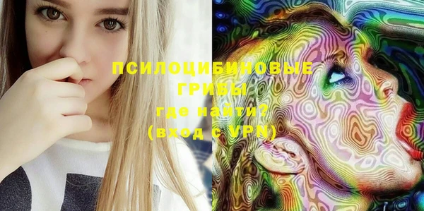 стафф Липки