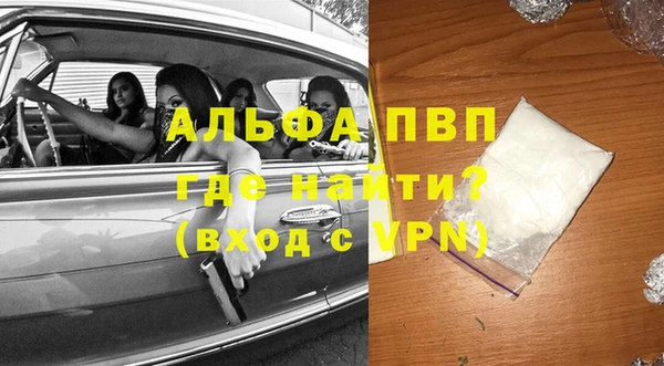 стафф Братск