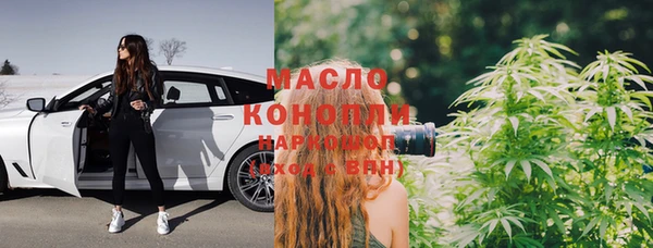 шишки Великий Новгород