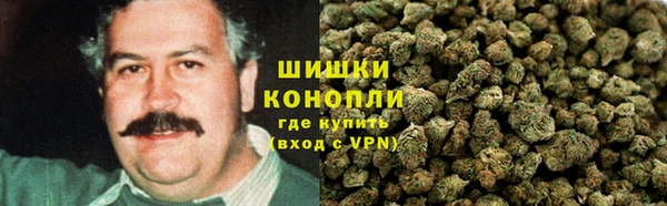 стафф Братск
