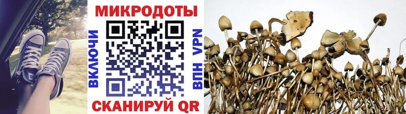 Галлюциногенные грибы Magic Shrooms  даркнет сайт  Багратионовск 